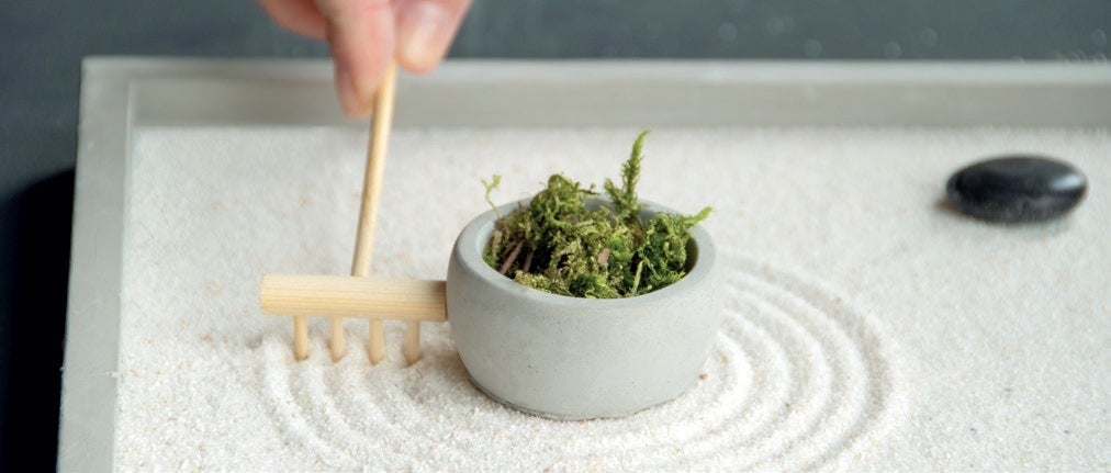 Square Mini Zen Garden