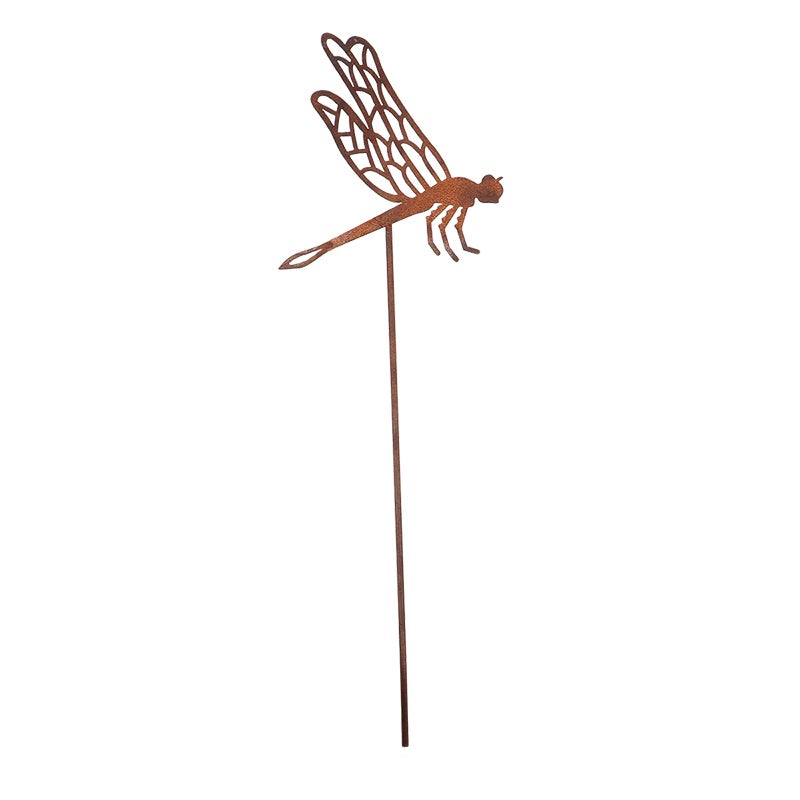 Rust Dragonfly