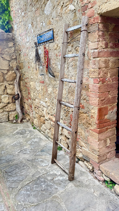 Antique Ladders.