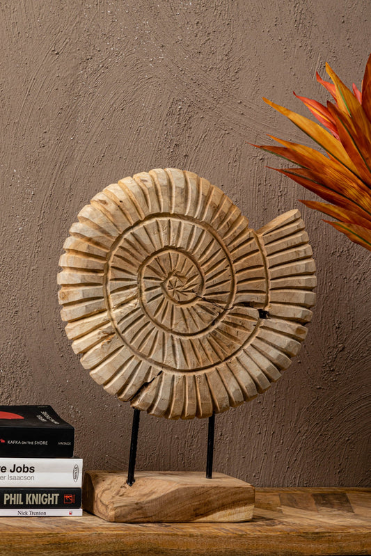 Wooden Ammonite Sculpture