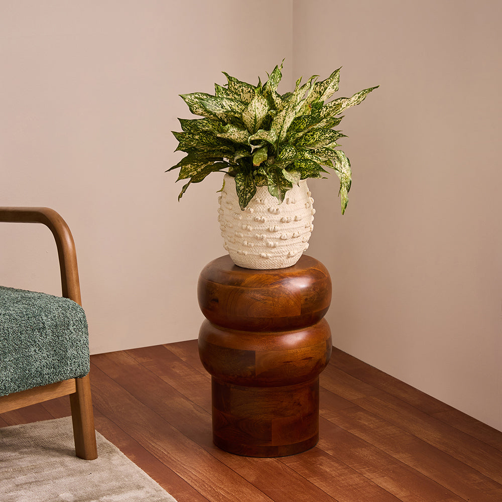Oakspire Mango Wood Side Table