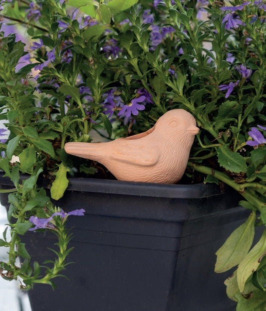 Plant Waterer Bird Terracotta Ass.