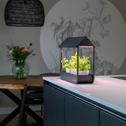 Plant Grow Lamp Greenhouse Black