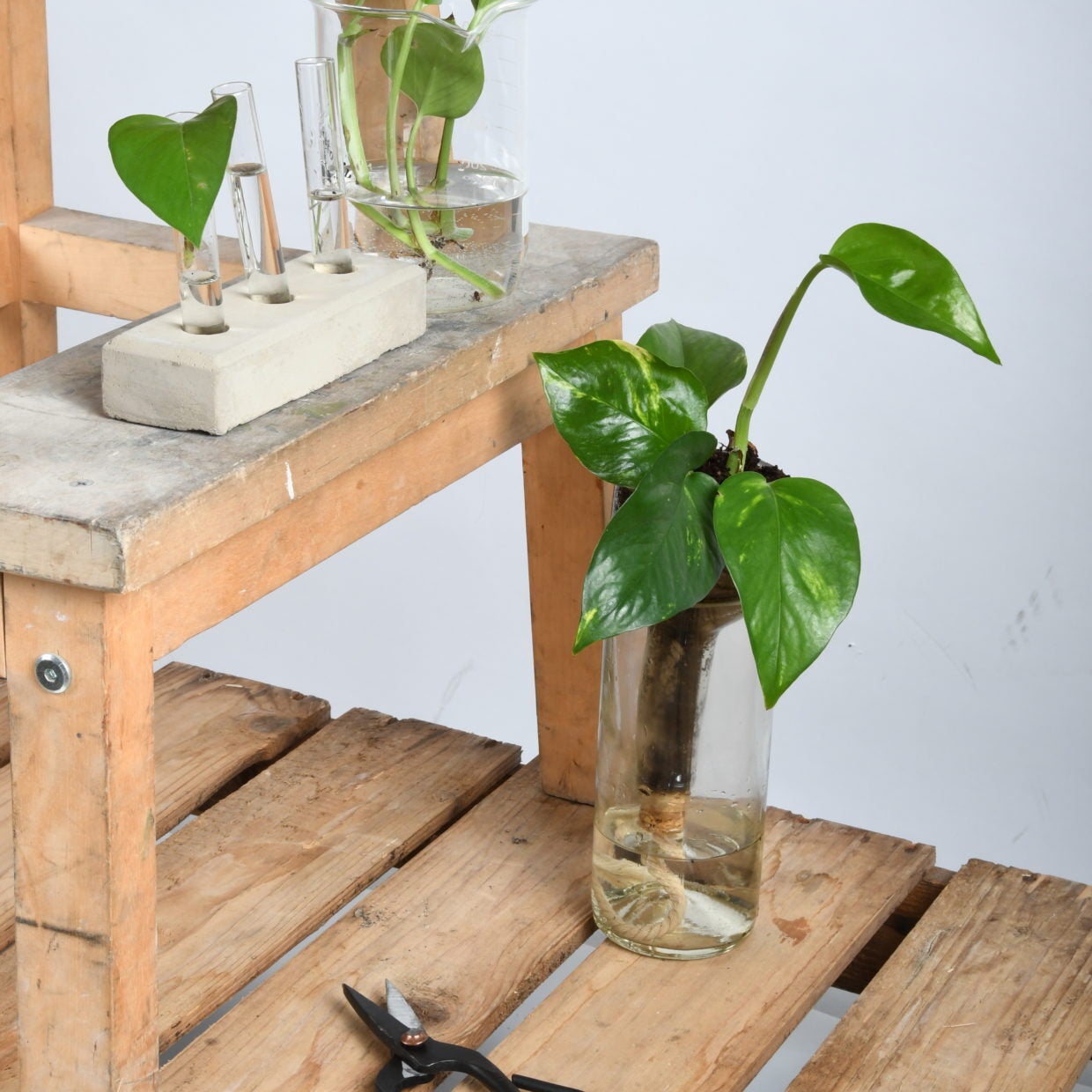 Self- Watering Bottle Planter