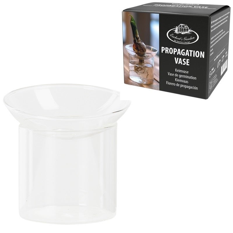 Propagation Vase S