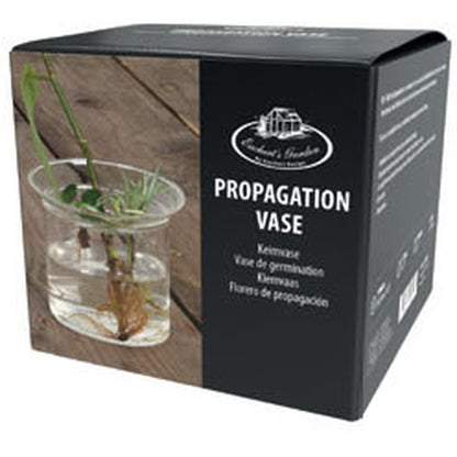 Propagation Vase Multiple Holes