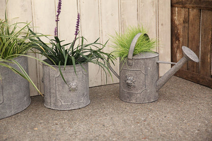 Am Lion Watering Can