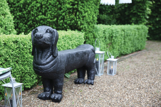 Bench Dachshund