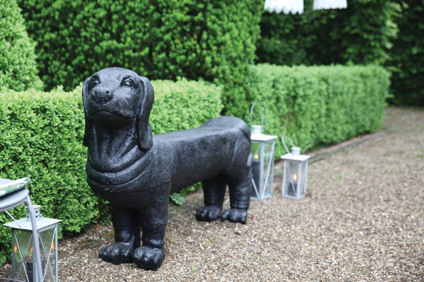 Bench Dachshund