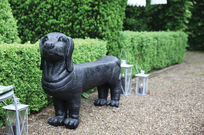 Bench Dachshund
