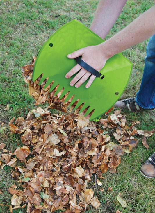 Leaf Scoops (AW003)