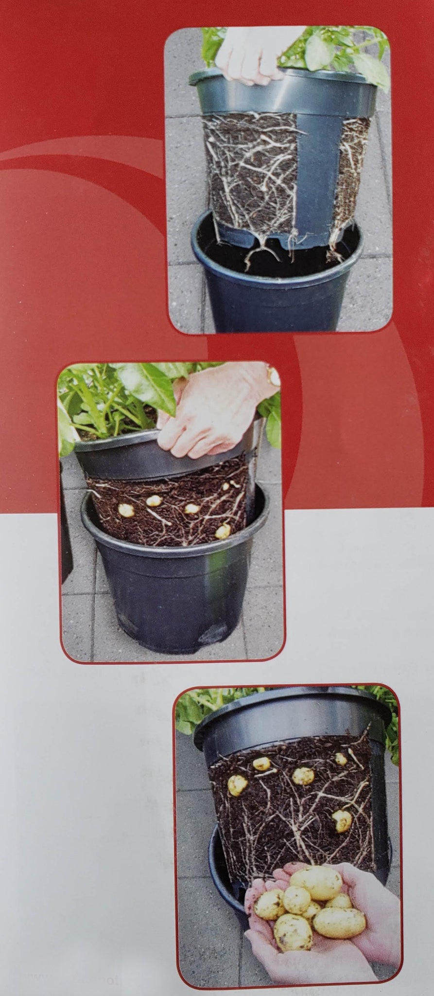 Potato Pot