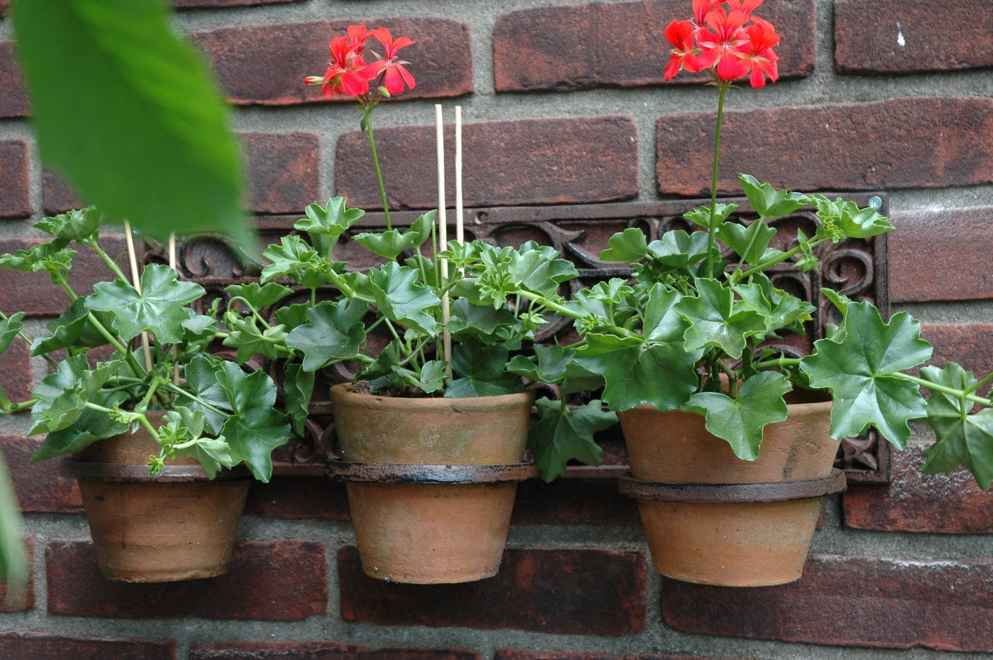 Flowerpotholder Classic 3 Pots