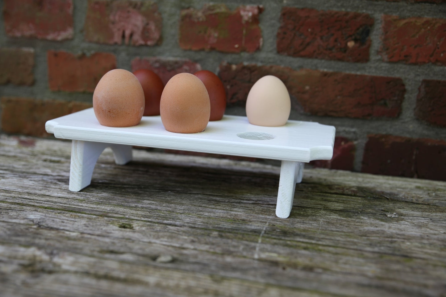 Egg Holder