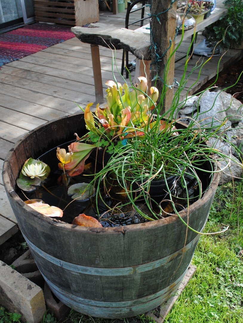 Half Barrel Garden Planter, 17' tall x 28' wide at belly