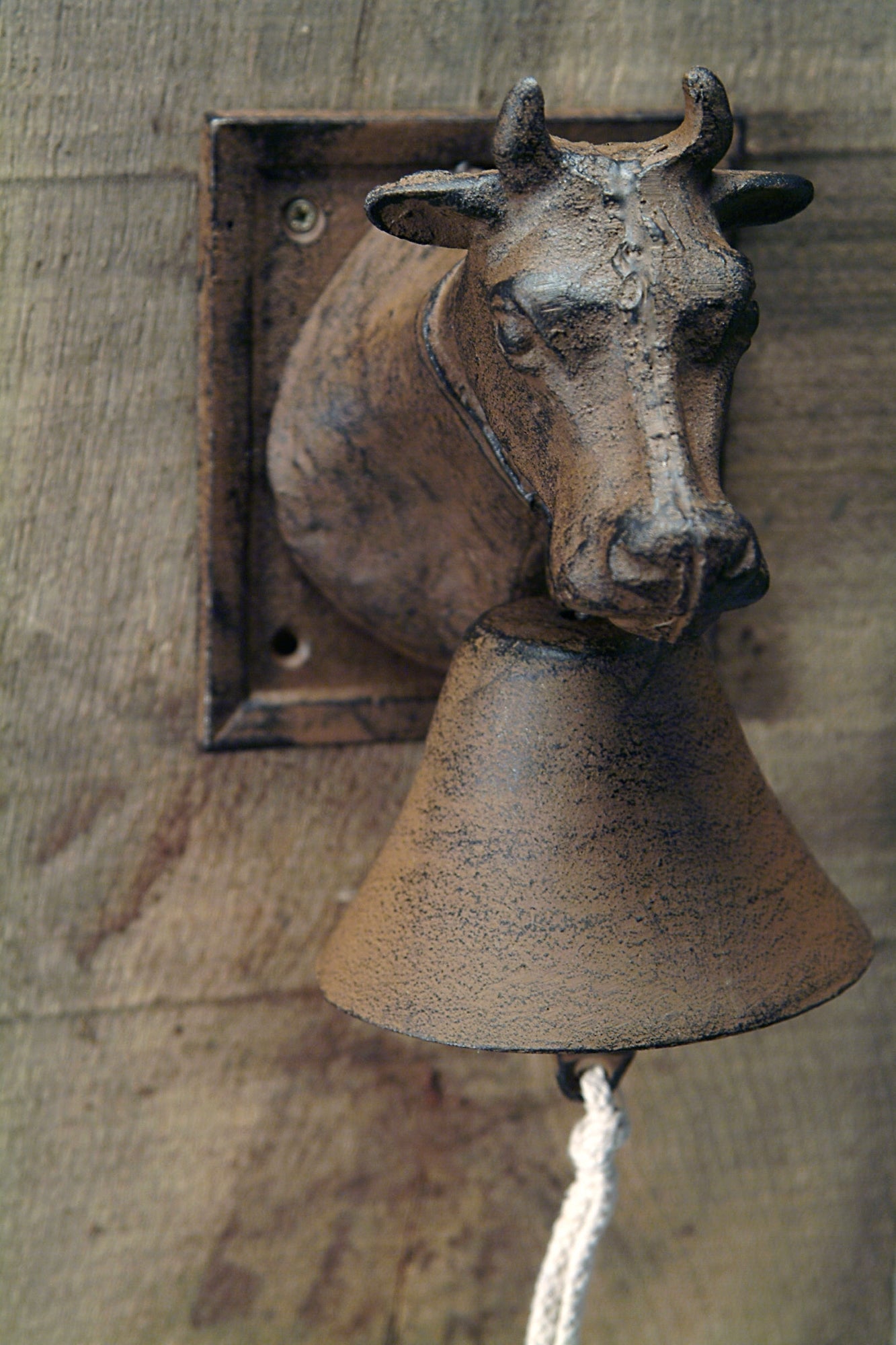 Doorbell Cow Head