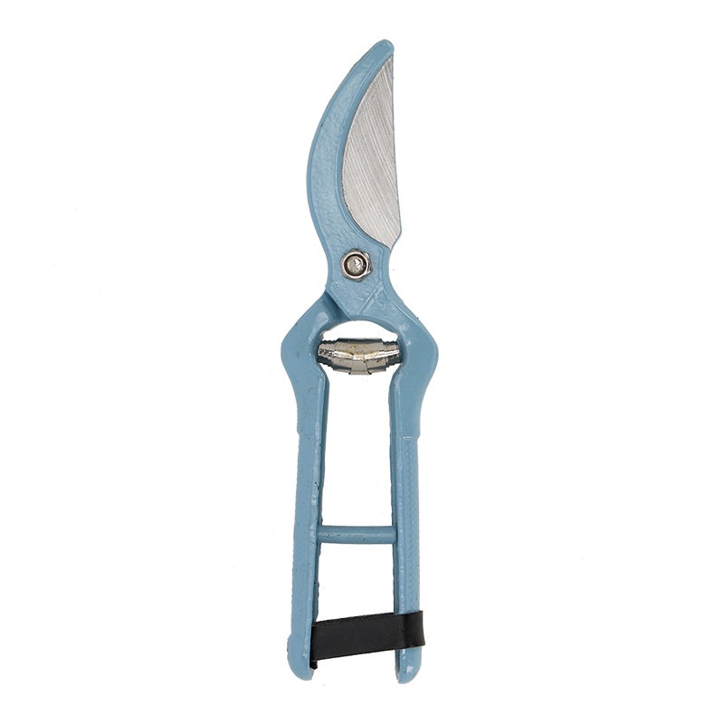 50 Shades of Blue Pruner