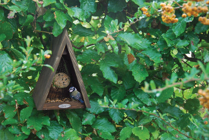 Triangle Birdfeeder. Pinewood.