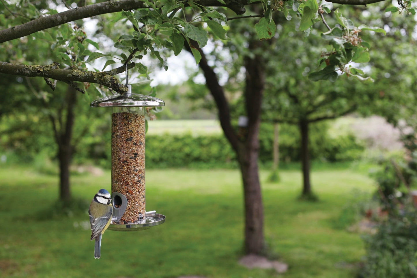 Stainless Steel Seed Feeder, Excl. Bird Food