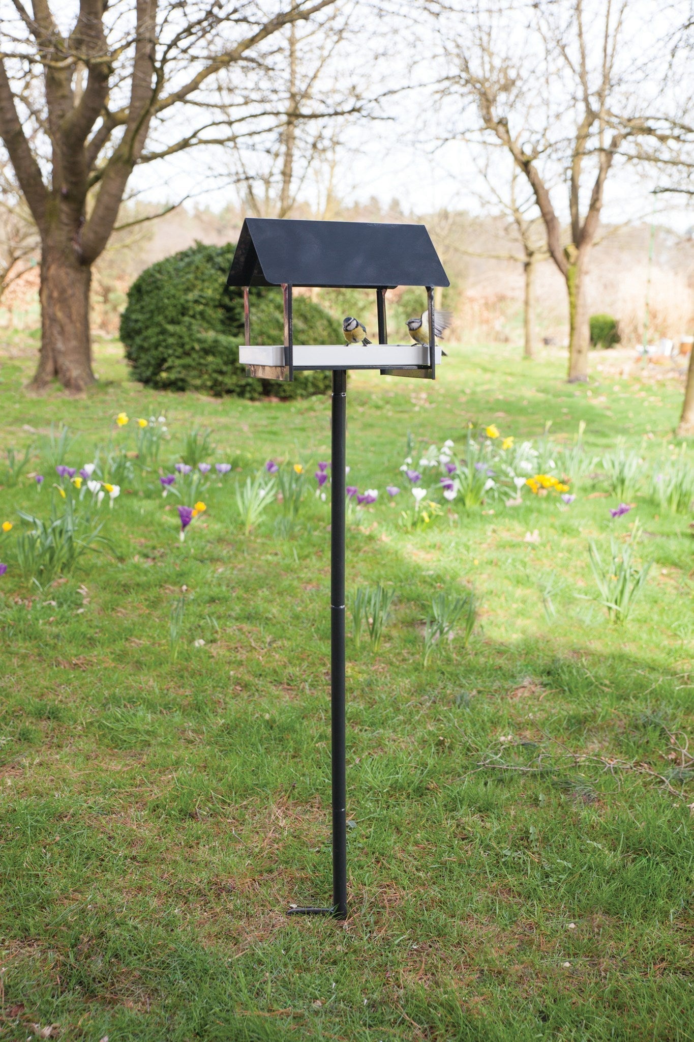 Bird Table On Stick Dark Grey/White