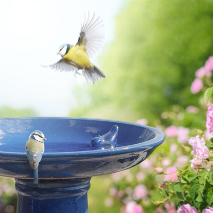 Bird Bath Petrol On Foot