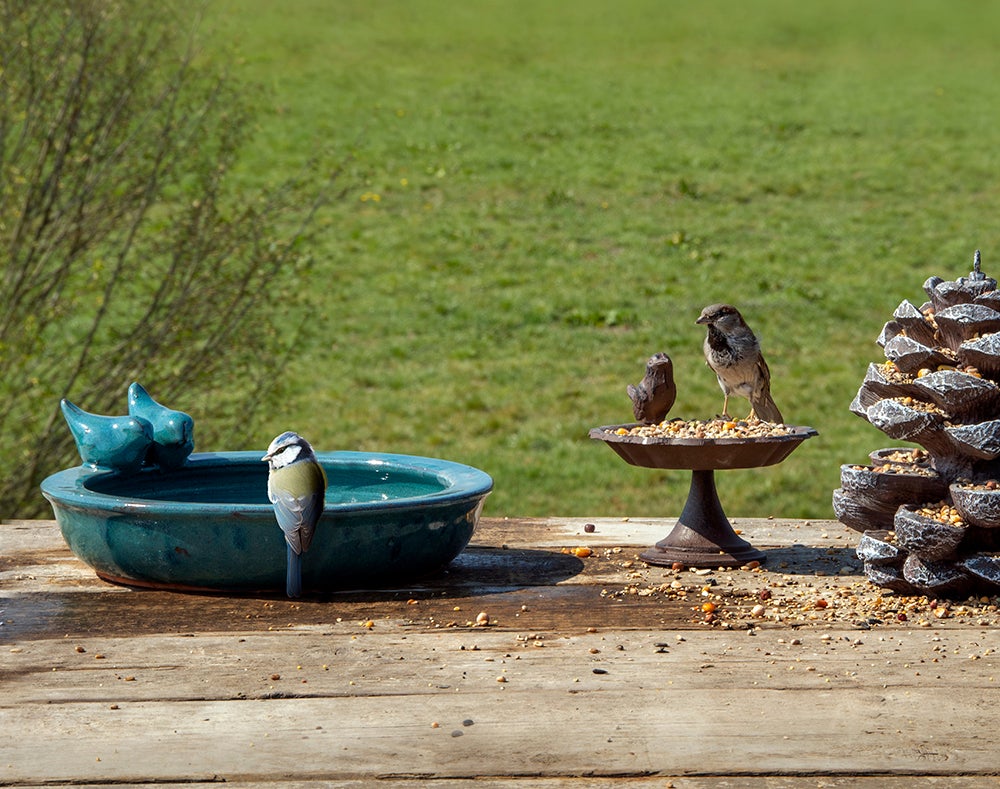 Petrol Round Bird Bath