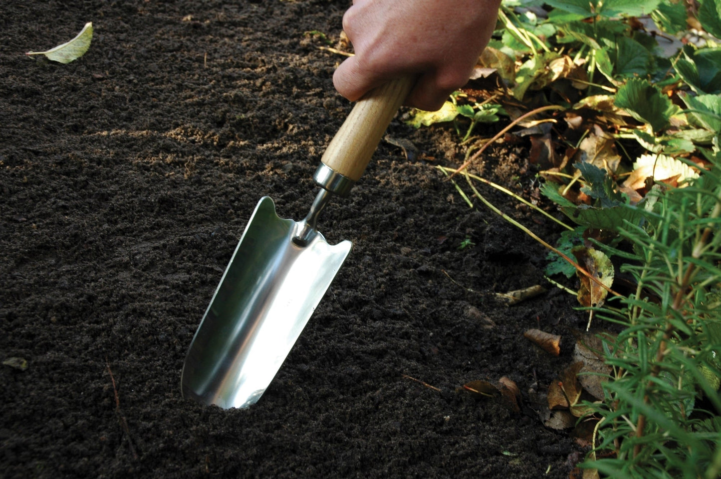 Stainless Steel Shovel