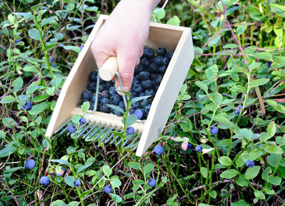 Berry Picker