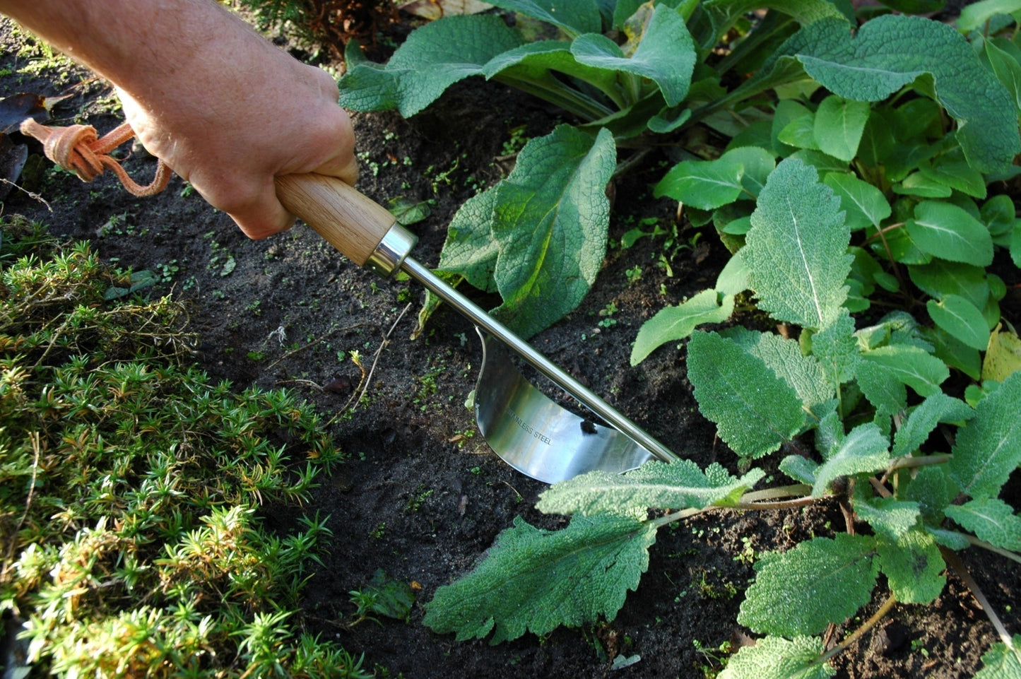 Stainless Steel Weeder