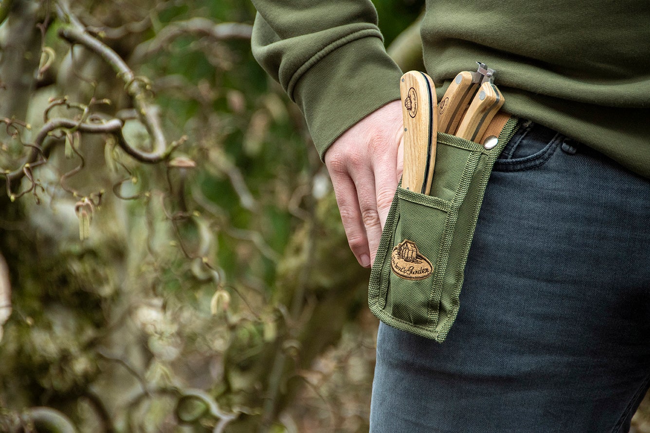 Pruning Set