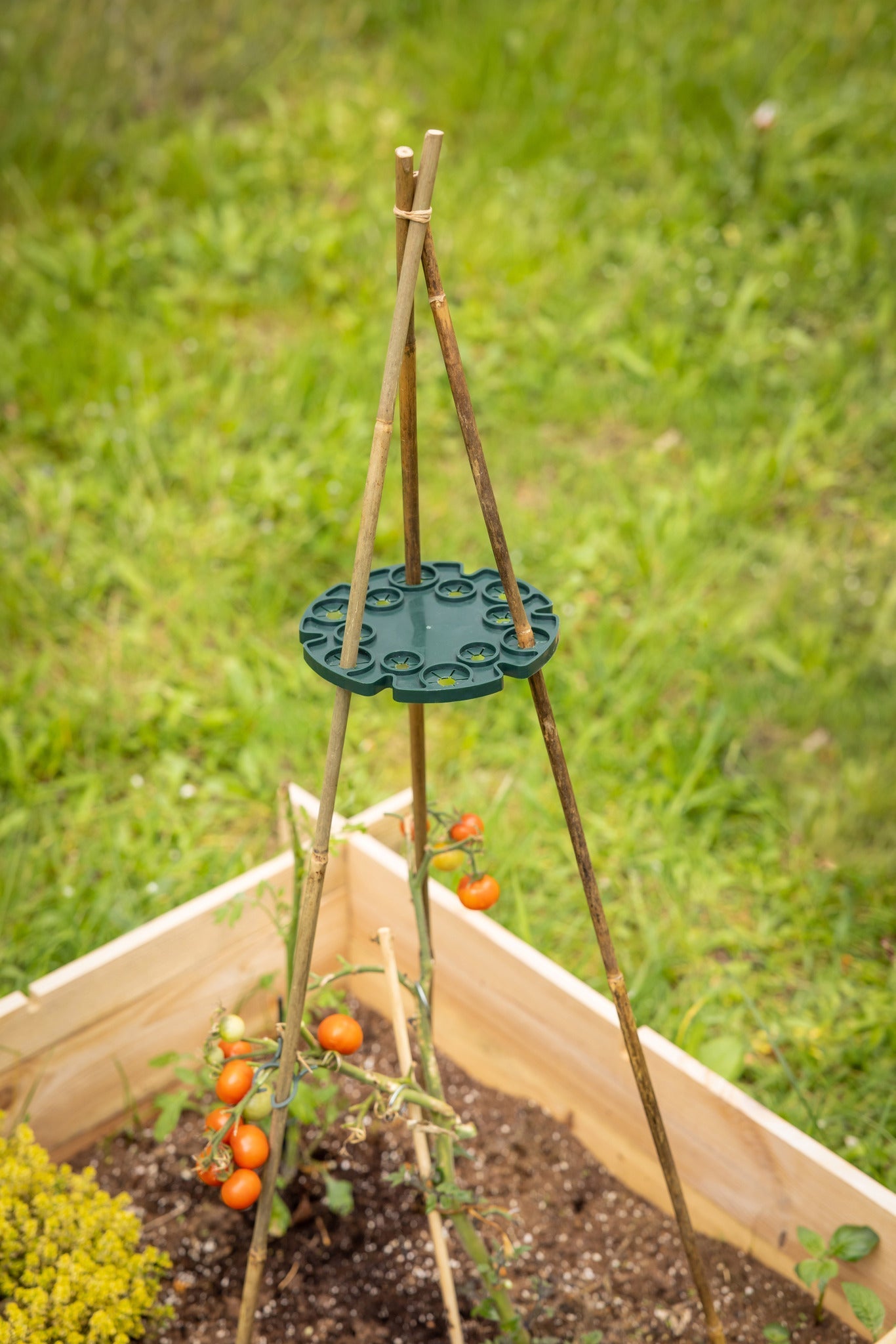 Connecting Ring Bamboo Sticks Set/2