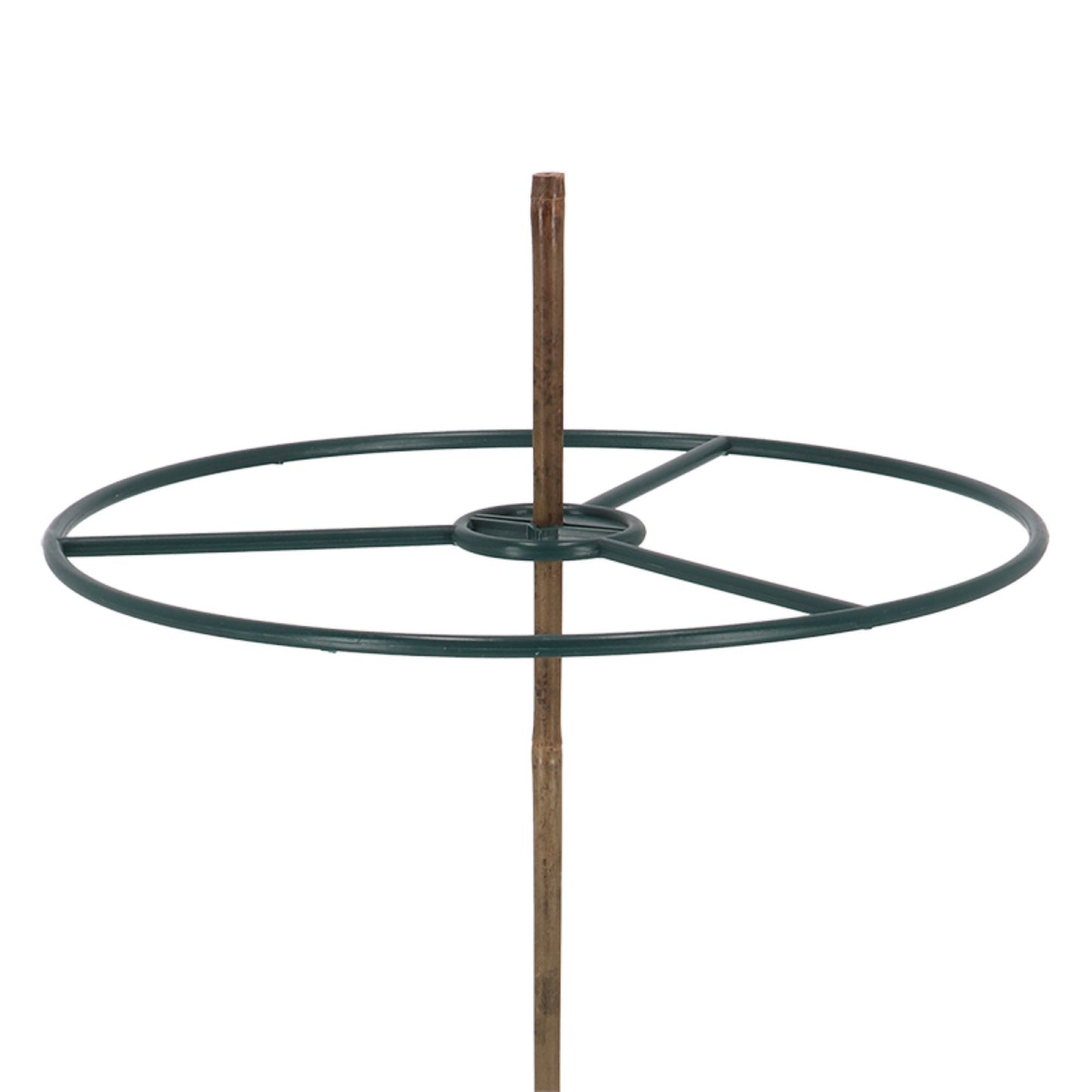 Plant Ring Bamboo Sticks Set/2