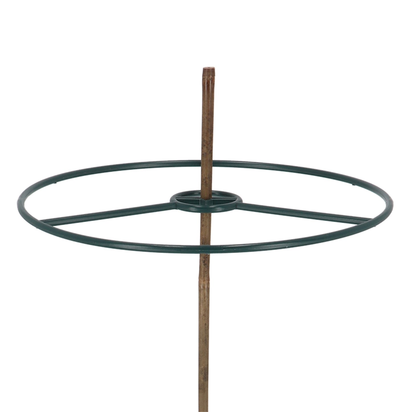 Plant Ring Bamboo Sticks Set/2