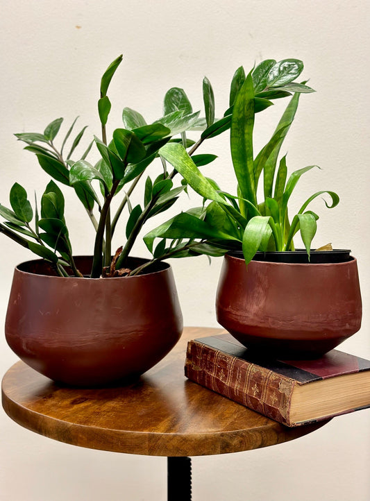 Velda Bowl Set