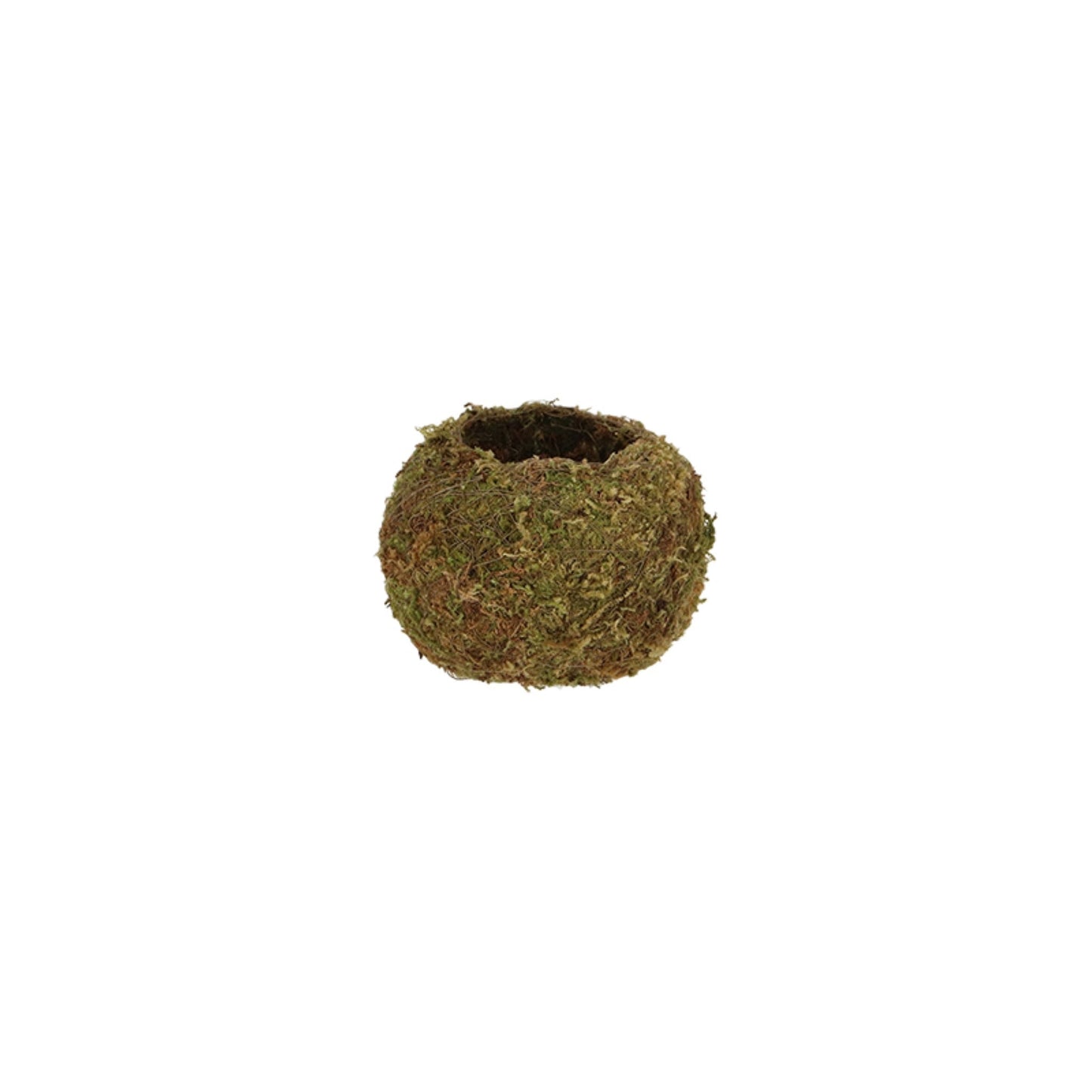 Kokedama Ball S