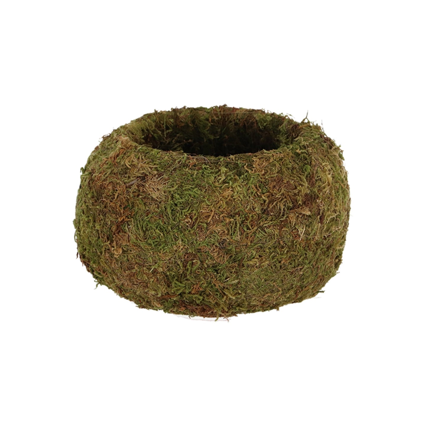 Kokedama Ball L