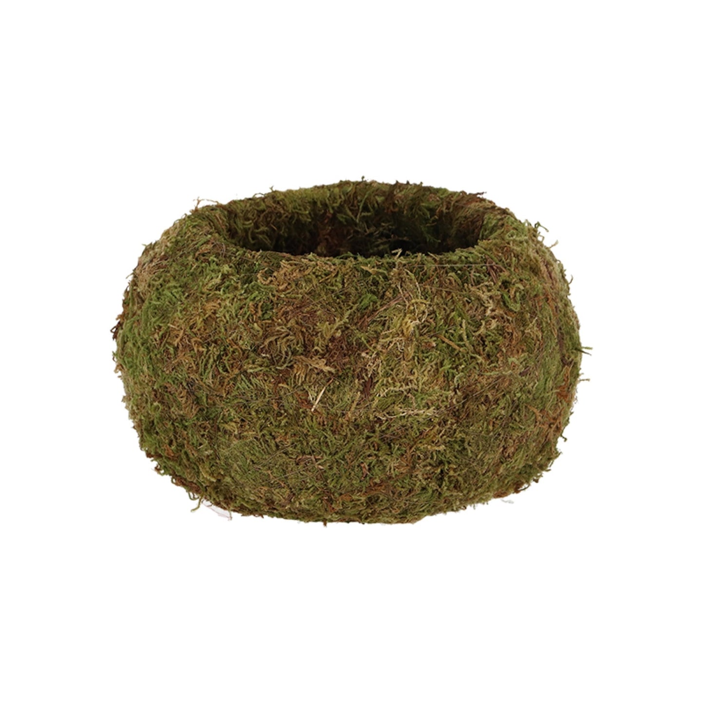 Kokedama Ball L