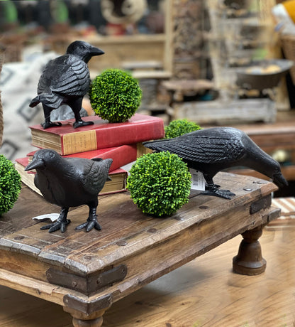 Cast Iron Crow, Head To Side, Black