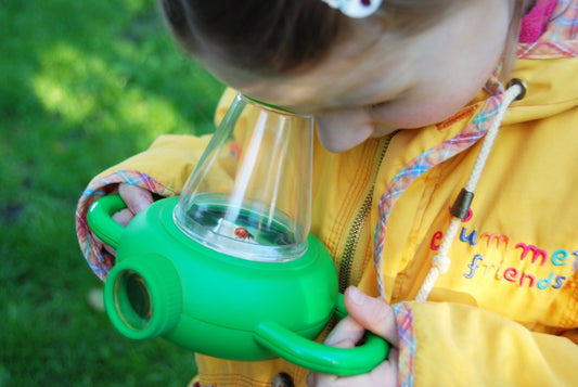 Insect Study Box (KG129)