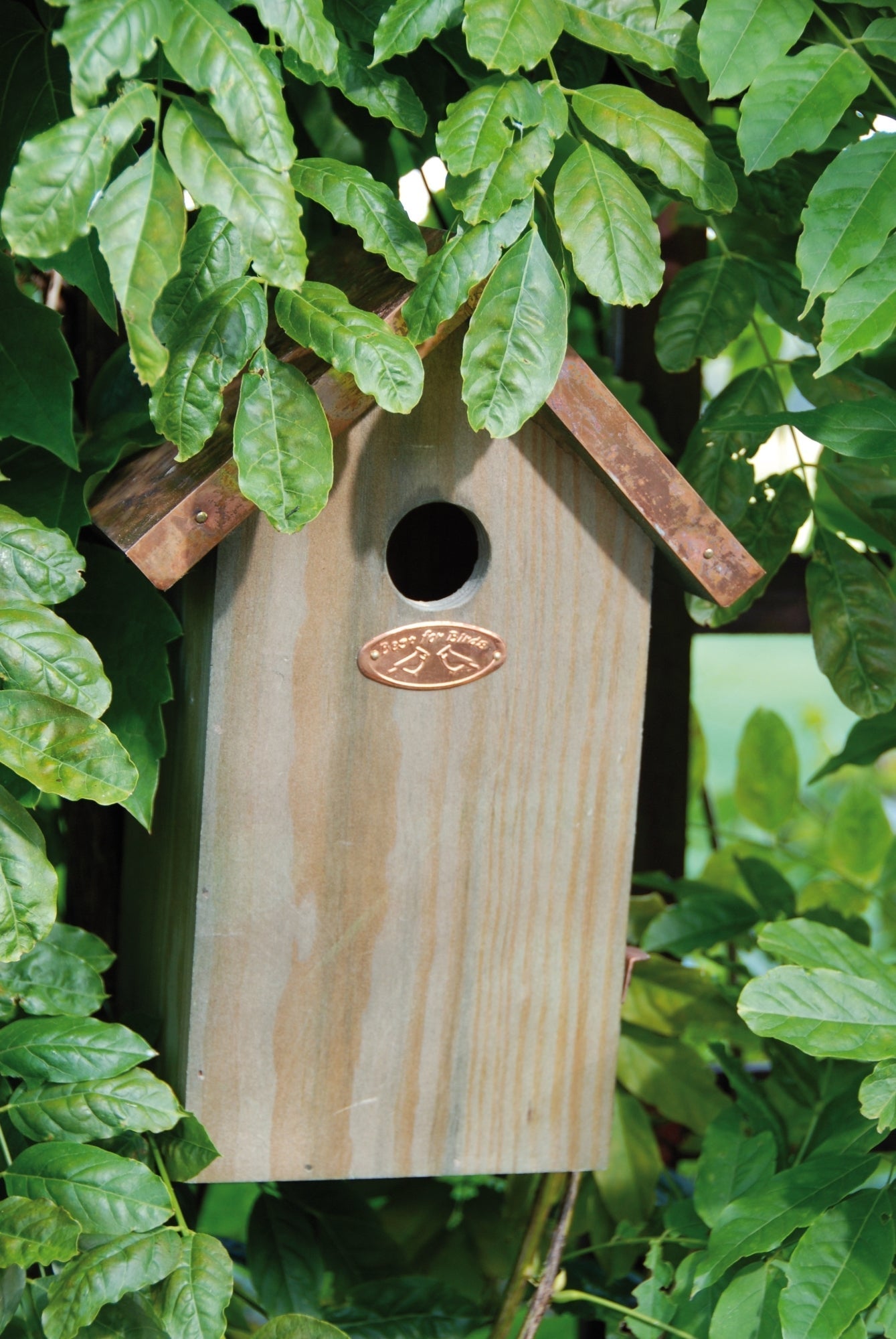 Nest Box Blue Tit Copper Roof