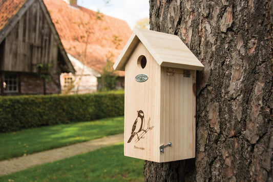 Birdhouse Great Tit Silhouette