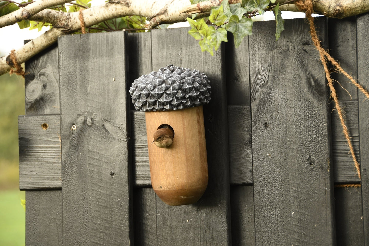 Acorn Nesting Box