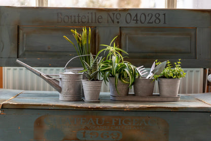 Old Zinc Saucer For 12 cm Pot