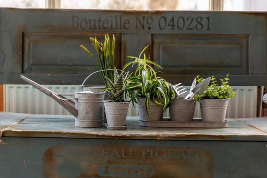 Old Zinc Saucer For 12 cm Pot