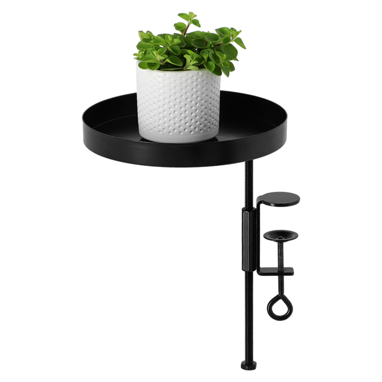 Round Clamp Trays M, 2 Assorted Color: Black & White