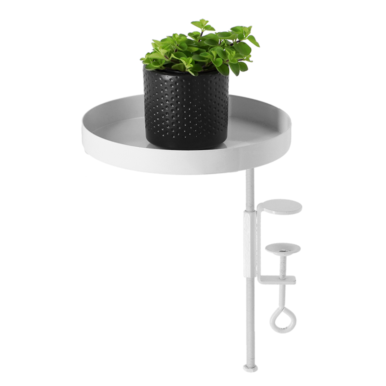 Round Clamp Trays M, 2 Assorted Color: Black & White