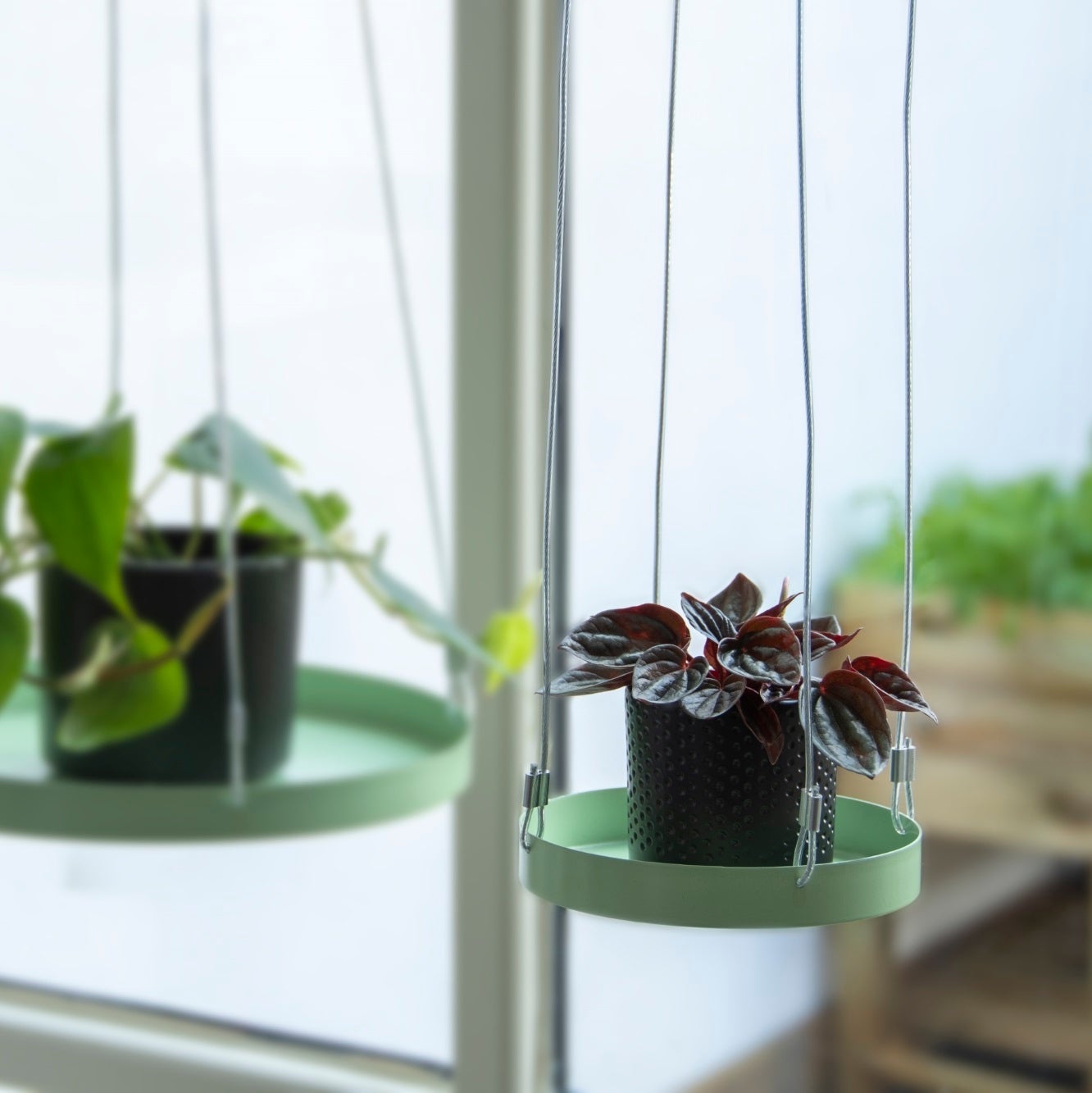 Round Green Window Hanging Tray S