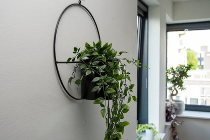 Wall Planter