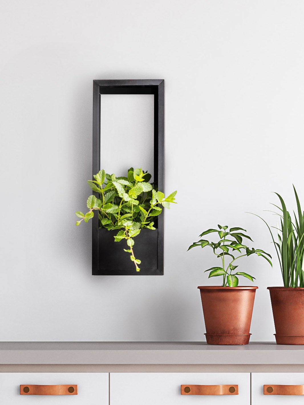 Wall Frame Plants Vertical S