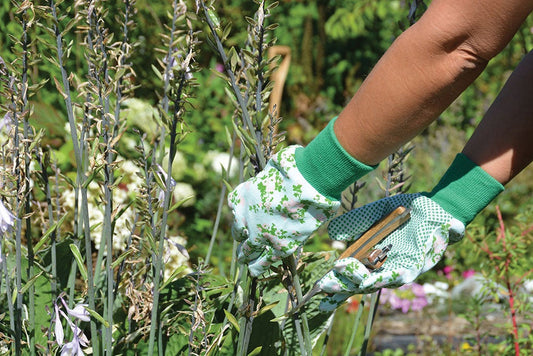 Rose Print Garden Glove ~ Assorted